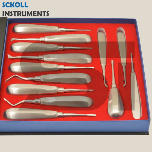 Dental Root Elevator Set of 13 Pcs