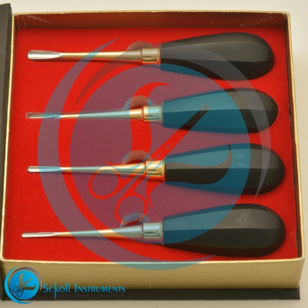 Dental Root Elevator Set of 4 PCS